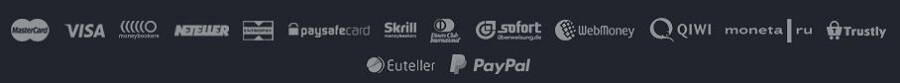 NetBet Payment Methods